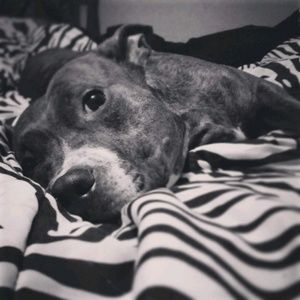 Meet your Posher, Christian